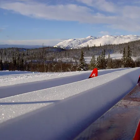 Hogfjellshotell 3*