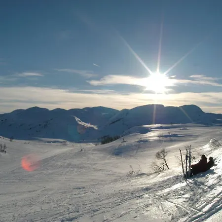 فندق Hogfjellshotell Rauland