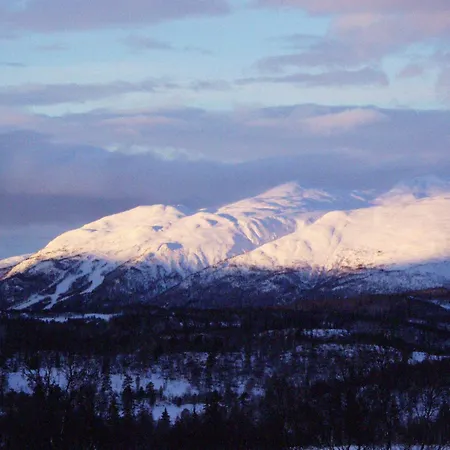 Hogfjellshotell Rauland