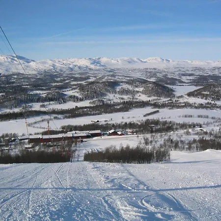 Hogfjellshotell
