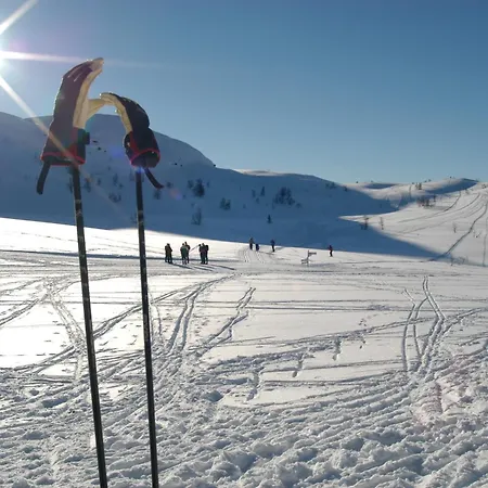 Høgfjellshotell Hotell