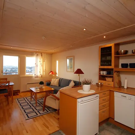 Hogfjellshotell فندق Rauland
