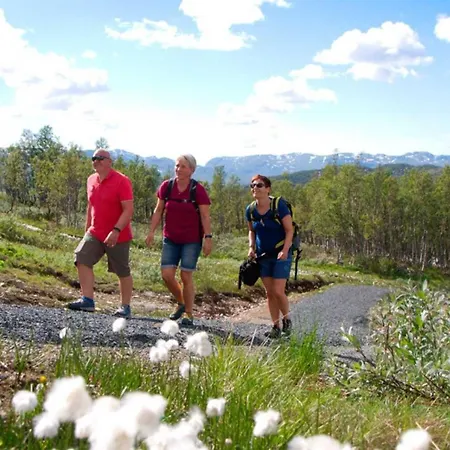 Hogfjellshotell Szálloda 3*