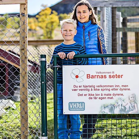 Hotell Høgfjellshotell 3*