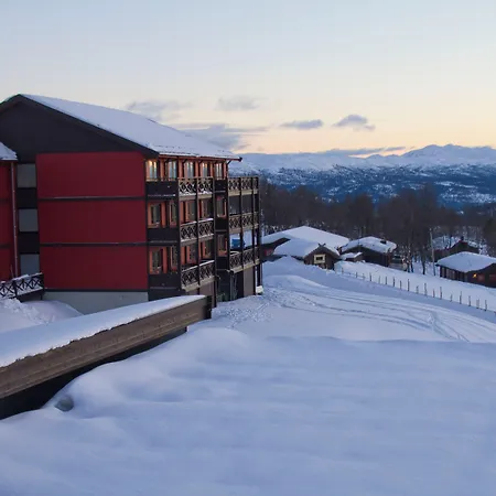 Hogfjellshotell فندق Rauland