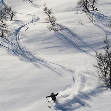 Hogfjellshotell