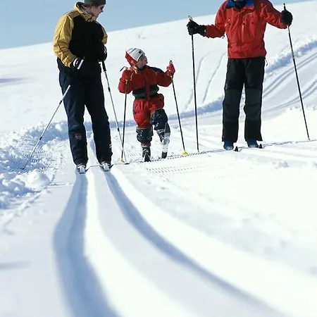 Hogfjellshotell 3*