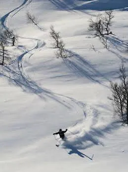 Hogfjellshotell
