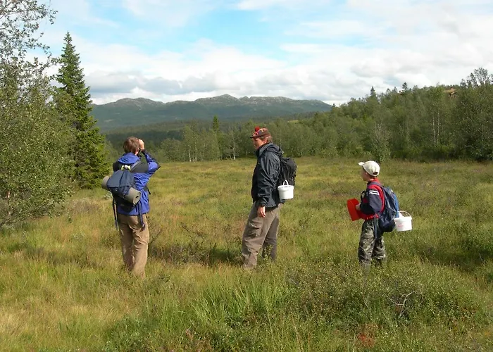 Hogfjellshotell Hotel