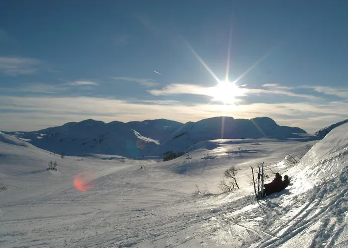 Hotel Hogfjellshotell Rauland