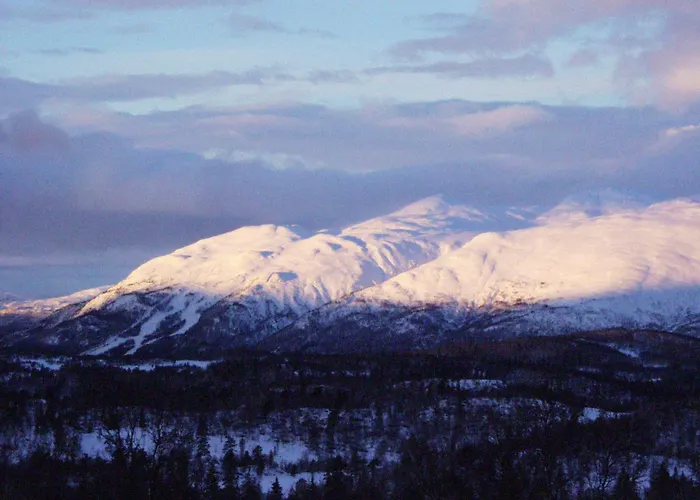 Hogfjellshotell Rauland