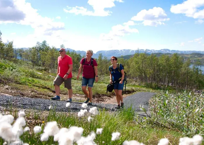 Hogfjellshotell Hotel 3*