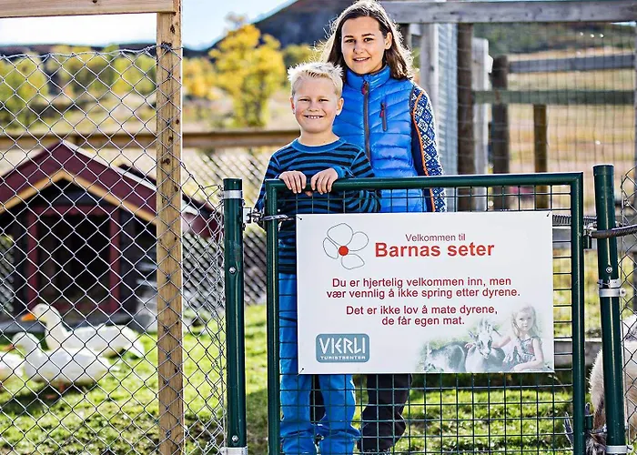 Hotel Hogfjellshotell 3*