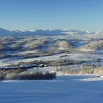 Hogfjellshotell 3*