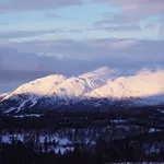 Hogfjellshotell Rauland