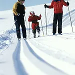 Hogfjellshotell 3*